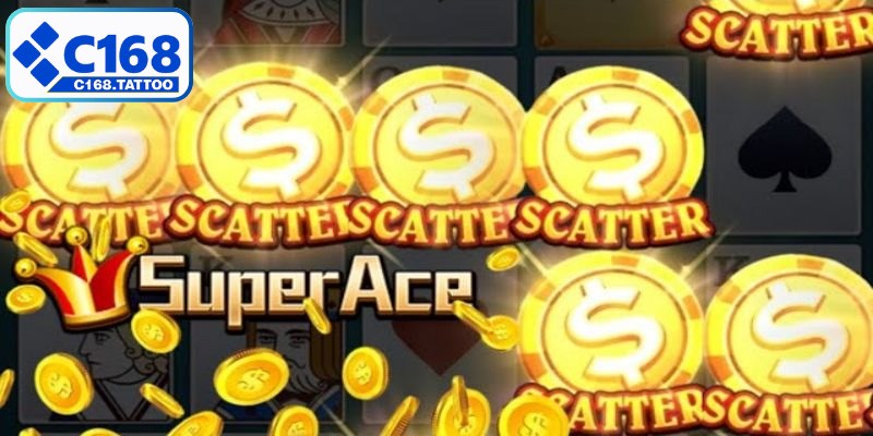 Phiên bản được tối ưu hóa trên nhiều nền tảng, dễ tiếp cận